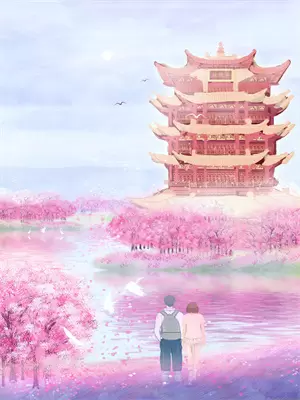 质数情书