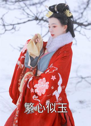 精品小说我的大小姐老婆