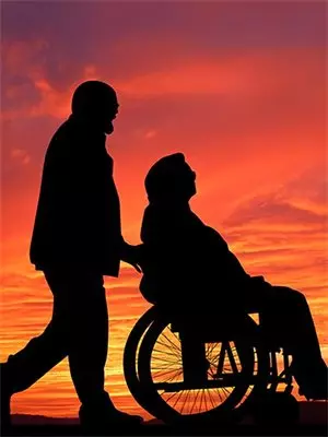 我在后宫玩舆情