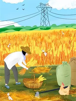 我在当铺遇见前世情人